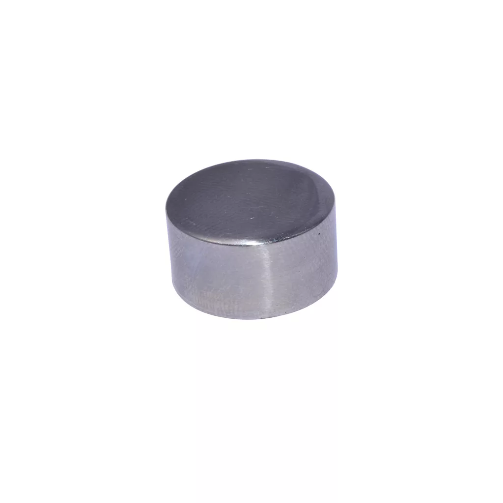 Displayed against a plain white background, the Isomac 000677 Cap for Group Lever Switch is a small, round, silver-colored metal cylinder with a flat top and vertical sides. © 2025 1st-line.com