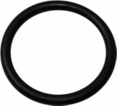 A black, circular La Pavoni Rubber Gasket is displayed against a white background. © 2025 1st-line.com