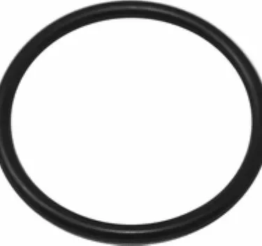 A black Rancilio 36404040 O-Ring for Rancilio Silvia (pod adapter) is shown on a white background. This circular rubber ring serves as a mechanical gasket or seal. © 2025 1st-line.com
