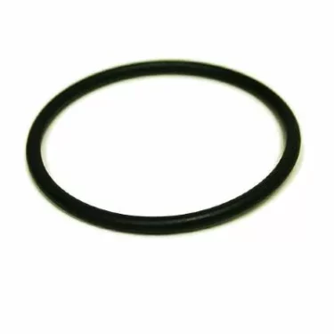 A black rubber Fiorenzato A1200188 Gasket O-Ring is displayed lying flat on a white background. © 2025 1st-line.com