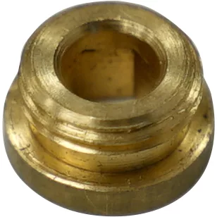 A close-up of a small, round brass fitting—specifically the Bezzera 5226417.01 1/8 Plug for Bleeder / Vacuum Valve—with a threaded interior and raised rim, commonly used in plumbing or mechanical systems. © 2025 1st-line.com