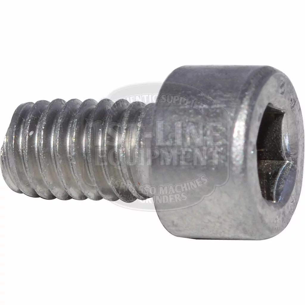 A close-up of the ECM C309900164 E61 Grouphead Front Screw - M6x10, showing its cylindrical head and threaded shaft, often used as a front screw for E61 groupheads, photographed on a white background. © 2025 1st-line.com