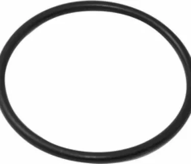 A Grimac Portafilter O-Ring #161 for La Pavoni lever models rests flat on a white background. © 2025 1st-line.com