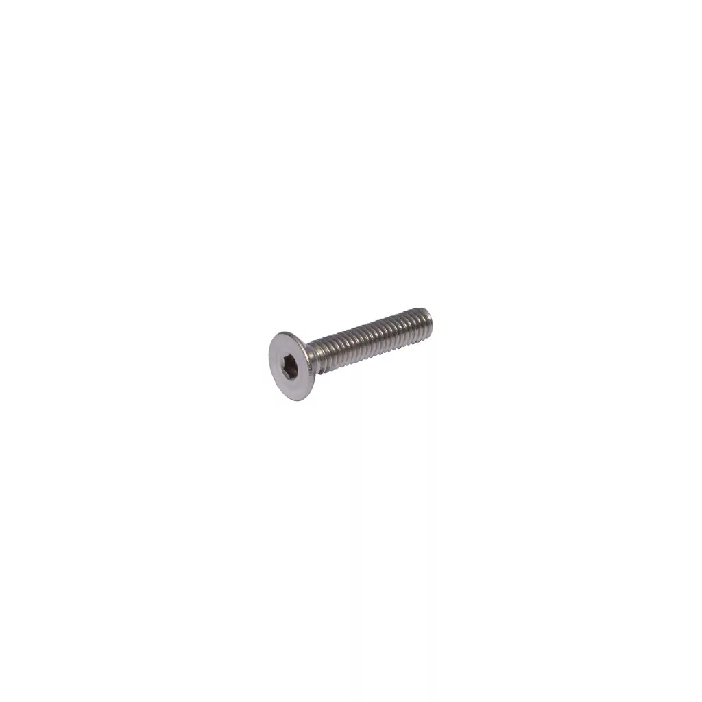 A silver Caffemotive Screw for the Bacchi Espresso Machines shower/dispersion screen, featuring a flat, round head and hexagonal socket, shown on a white background. © 2025 1st-line.com