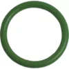A single Bezzera 7479934 Gasket OR 128 Viton for Mitica, shown in green, is displayed against a plain white background. © 2025 1st-line.com