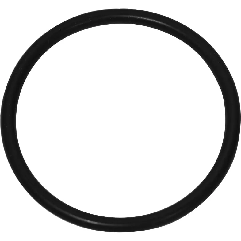 A single black rubber O-ring for the Elektra 02367034 E.S.E. Single Pod Kit, displayed on a white background. © 2025 1st-line.com
