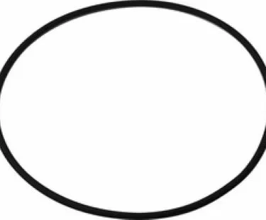 A thin black oval silhouette on a white background, matching the outline of the Elektra 01994035 Boiler Seal. © 2025 1st-line.com