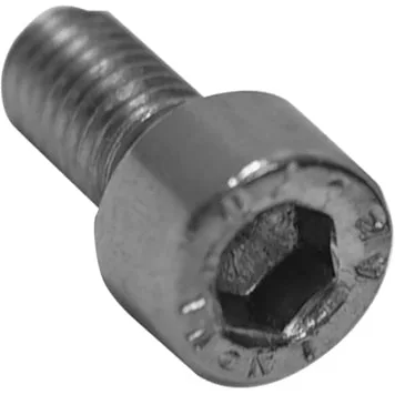 Close-up image of Elektra 00122035 Inox Screw M 5x10, featuring a hex socket cap, cylindrical head, and partially threaded shaft—ideal for Elektra applications. © 2025 1st-line.com