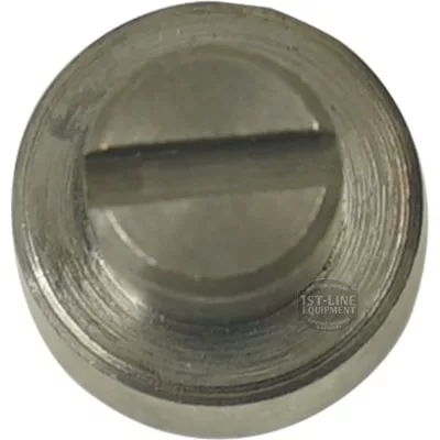 Close-up of a Bezzera 5224603AL Gasket Holder - D 12x12 OT metal slotted screw with a circular head, featuring a flathead screwdriver slot and brushed metallic finish, part of the Gasket Holder assembly. © 2025 1st-line.com