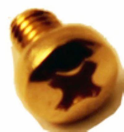 Close-up of the Elektra 00123026 Screw for Grouphead Delivery Unit (M 4x6) in brass with Phillips head, shown angled on a white background; suitable for Elektra Commercial Models. © 2025 1st-line.com