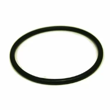The Fiorenzato A1200187 Gasket O-Ring (58.74x3.53mm) is displayed against a plain white background. © 2025 1st-line.com
