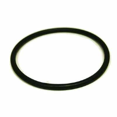 The Fiorenzato A1200187 Gasket O-Ring (58.74x3.53mm) is displayed against a plain white background. © 2025 1st-line.com