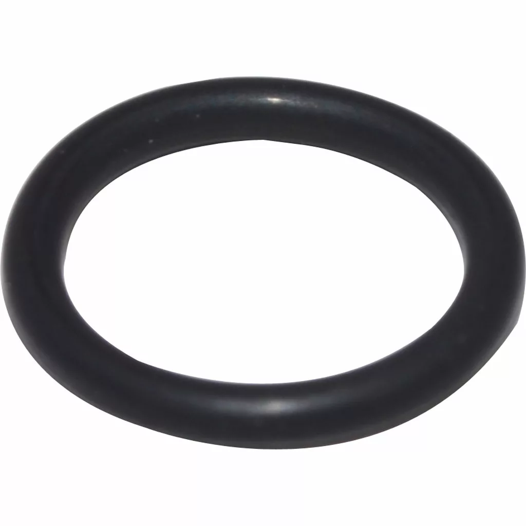 A Bezzera 7496052 Suppression Valve O-ring 114 Viton, black with a smooth, round shape, is shown against a white background. © 2025 1st-line.com