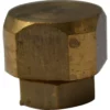 A close-up of a brass hexagonal bolt cap with a flat top and tarnish marks, featured as part of the Grimac 3510830 Union Elbow 1/4F for Ulka Type Pump. © 2025 1st-line.com