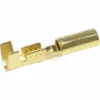 A close-up of the Ascaso 2.4mm Faxton Female Terminal, a gold-colored connector for crimping onto wires in electrical applications, featuring a flat base and cylindrical end for compatibility with Ascaso devices. © 2025 1st-line.com
