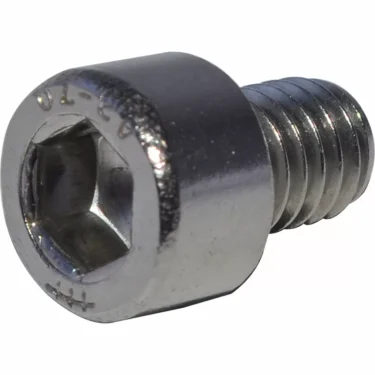 A close-up of the Bezzera 7479939 Screw TCE M6x8 with a hex socket cap and cylindrical head, shown on a white background—perfect for maintaining Bezzera or Mitica espresso machines. © 2025 1st-line.com