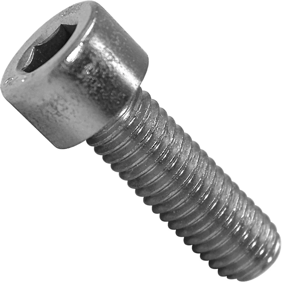 A close-up of the Bezzera 7816015 Screw shows its cylindrical head and threaded shaft on a white background. © 2025 1st-line.com