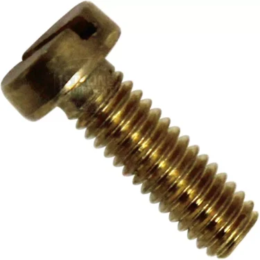 A close-up of the Elektra 00114035 Brass Shower Screen Screw M 4x12, featuring a slotted round head and threaded shaft, shown against a white background. © 2025 1st-line.com