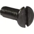 A close-up of the Elektra 01206035 Dispersion Screen Screw M6x16 shows its flat head, single straight groove, and threaded metal body against a white background. © 2025 1st-line.com