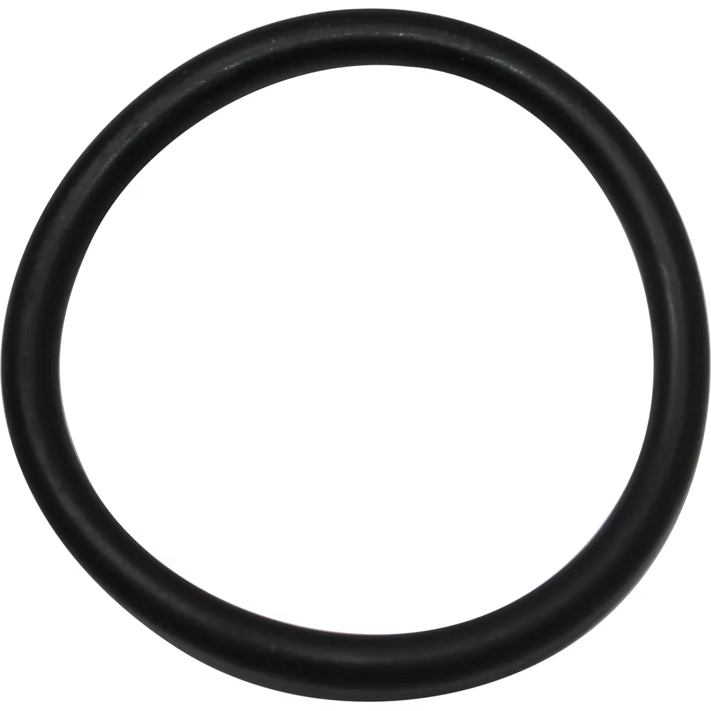 A DISCONTINUED Pasquini Livia 90 Grouphead Gasket - THIN, black and made of rubber, is displayed on a white background. The circular O-ring features a smooth, even surface. © 2025 1st-line.com