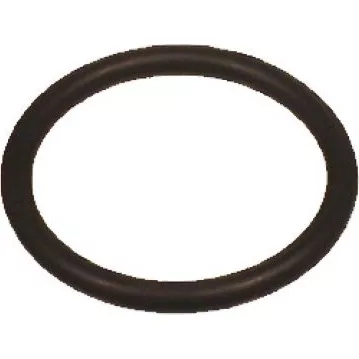 An Elektra 00174035 Portafilter / Grouphead Gasket in black rubber is shown on a white background. © 2025 1st-line.com