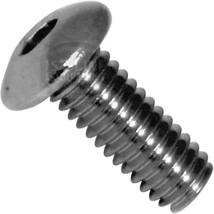 Close-up image of an ECM P2022 Body Panel Screw, featuring a silver pan-head design with a threaded shaft and rounded top, displayed against a white background. © 2025 1st-line.com