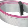 The Bezzera 7636604 Strip Lines 8 Poles for BZ07 is a flat grey ribbon cable with a red stripe on one edge for polarity. It features black connectors at each end and is designed for use with BZ07 machines. © 2025 1st-line.com