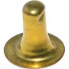 The Elektra 02095035 Brass Screw for Upper Bracket Body for T1 features a rounded top, hole near the tip, and a wide flat base, shown against a white background. © 2025 1st-line.com