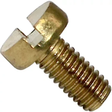 The Elektra 04030035 Screw TC M3x6 is a brass, round head slotted screw with shaft threading and a straight slot for flathead screwdrivers, perfect for use in Elektra components. © 2025 1st-line.com