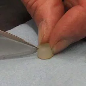 A close-up of a hand holding a clove of garlic on a blue cloth while a knife slices into it, reminiscent of the precision needed in VBM gasket repair. © 2025 1st-line.com