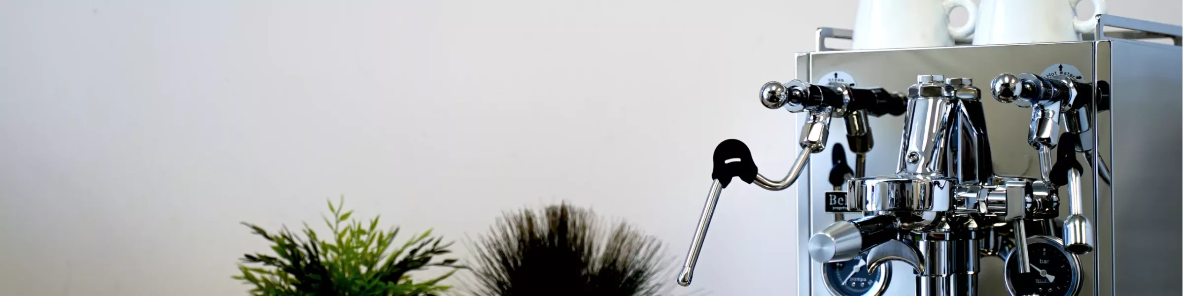 A shiny heat exchange espresso machine with cups on top sits on a counter next to a small green plant and a dark decorative object, against a plain light-colored wall. © 2025 1st-line.com