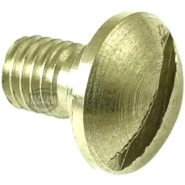 Close-up of a CA.341 EMPTY/VENT VALVE brass slotted screw featuring a flat, wide head with a single slot, highlighting intricate threading and textured surface. © 2025 1st-line.com