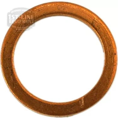 Centered on a plain white background, the image shows an F..250 COPPER WASHER 16x12x1.5mm—a circular copper washer with a worn, slightly scratched surface in close-up view. © 2025 1st-line.com