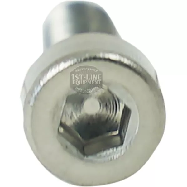 Close-up of the Elektra 04098035 Boiler Screw, featuring a hexagonal recess on its head and a shiny silver finish. The faint 1st-Line Equipment logo appears at the center. © 2025 1st-line.com