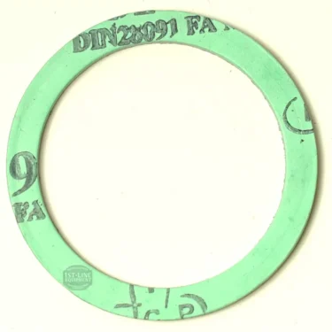 The CA..20 ALIMENTARY GASKET 53x42x2 mm is a flat, green gasket with black alphanumeric markings along the rim, shown from above on a light background. © 2025 1st-line.com