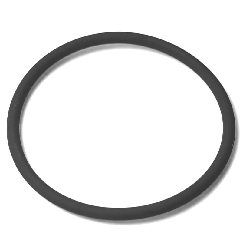 A black rubber O-ring, compatible with the SP.244 FILTER HOLDER CAP, is displayed against a white background. This unbroken circular ring serves as a mechanical gasket or seal. © 2025 1st-line.com