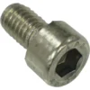 A close-up of the ECM P2057 Motor Bracket Screw M6x8, highlighting its threaded body and cylindrical head with a hexagonal recess designed for an Allen wrench. © 2025 1st-line.com