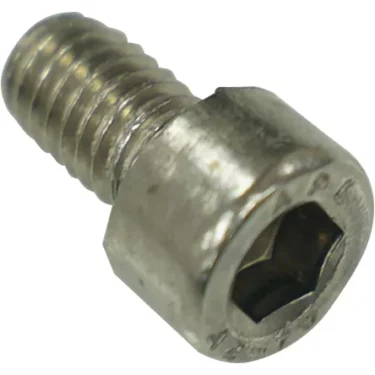 A close-up of the ECM P2057 Motor Bracket Screw M6x8, highlighting its threaded body and cylindrical head with a hexagonal recess designed for an Allen wrench. © 2025 1st-line.com