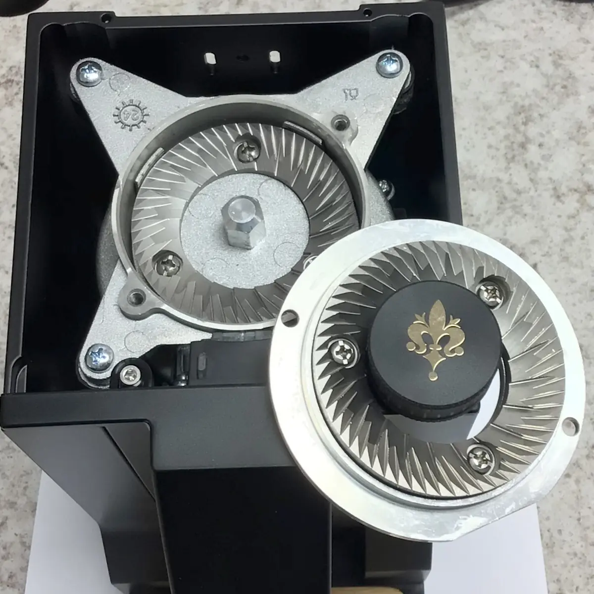 Close-up of the Eureka Mignon Single Dose Espresso Coffee Grinder with its top burr removed, displaying the sharp burrs inside. The grinder is set up for single dosing on a speckled countertop in the background.