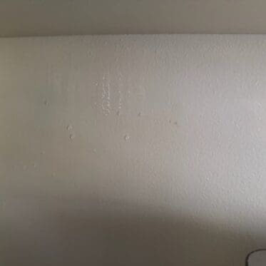 Steam on Lelit Elizabeth